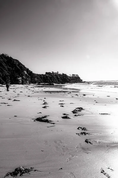 Серый Пейзаж Красивого Песчаного Пляжа Синем Фоне Моря — стоковое фото