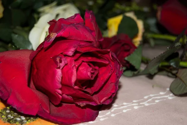 Close Rosas Vermelhas Sobre Mesa Sob Luzes Com Fundo Escuro — Fotografia de Stock