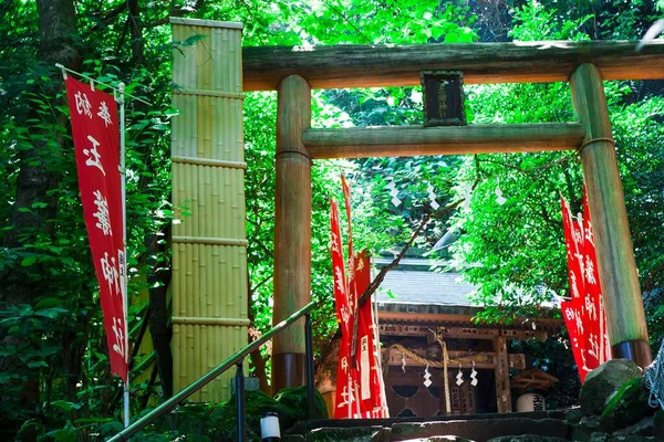 Une Porte Torii Japonaise Sur Fond Temple — Photo
