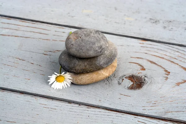 木製の表面にデイジーの花の横に互いの上に積み上げ小石のクローズアップショット — ストック写真