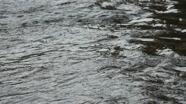 Primer Plano Arroyo Agua Corriente Durante Día Perfecto Para Fondo — Foto de Stock