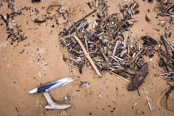 羽やタバコを含むビーチの汚れのクローズアップショット — ストック写真