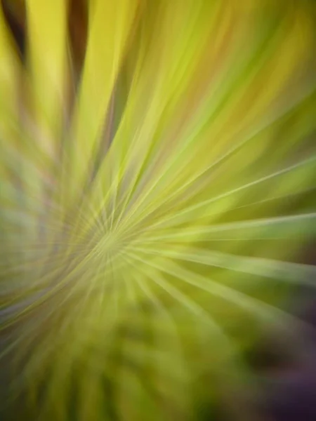 Fond Coloré Abstrait Vertical Avec Des Couches Lumière Jaune Réfractées — Photo