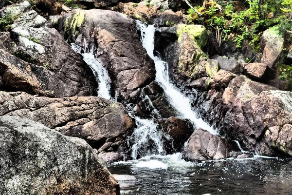 一条小河流过被植物环绕的岩石景观的特写镜头 — 图库照片