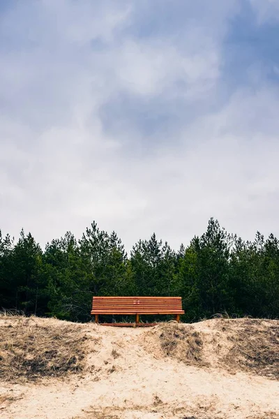Een Bankje Voor Bomen Onder Bewolkte Hemel — Stockfoto