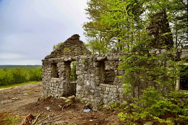 Primer Plano Viejas Ruinas Piedra Lodge Olvidado Rodeado Árboles Día —  Fotos de Stock