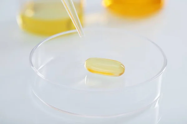 在实验室玻璃盘子里的一个透明的黄色胶囊上有一个特写镜头 — 图库照片