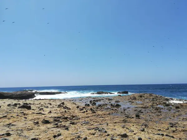 Une Vue Panoramique Rivage Rocheux Avec Horizon Clair Des Oiseaux — Photo