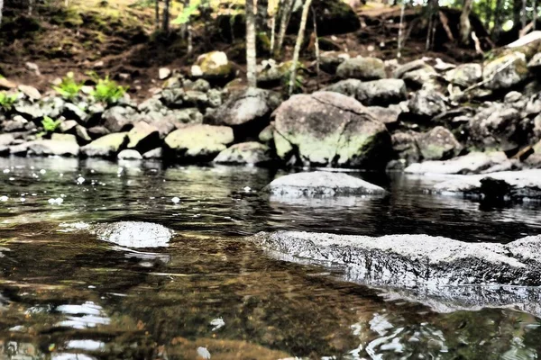 Eine Nahaufnahme Der Fließenden Flusswasseroberfläche Einem Wald — Stockfoto