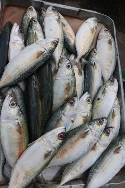 Uma Foto Close Peixe Cru Mercado Alimentos Bangkok Tailândia — Fotografia de Stock