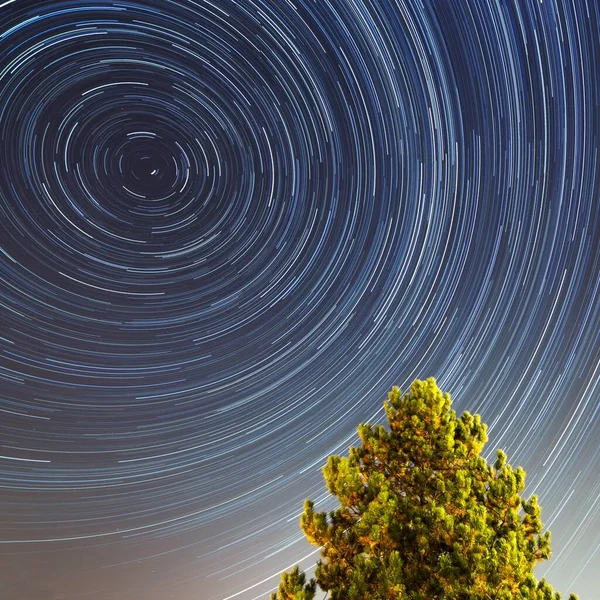 Senderos Estrellas Con Pino Derecha Estrella Polaris Estrella Final Noche — Foto de Stock