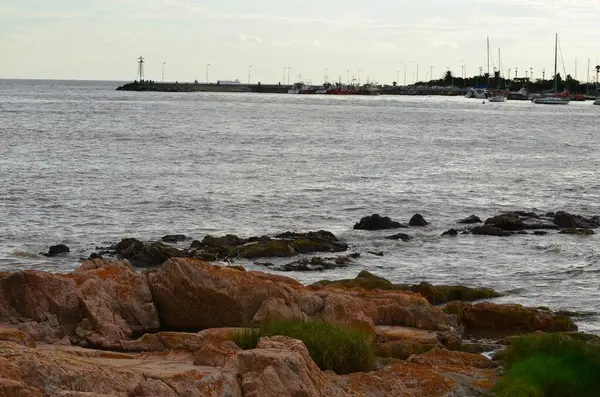 Het Strand Met Rustige Golven Overdag Vastgelegd — Stockfoto