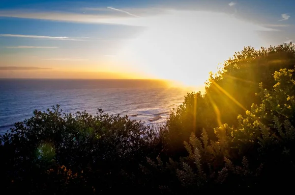 Paisaje Escénico Océano Con Árboles Primer Plano Atardecer —  Fotos de Stock