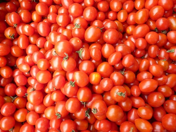 おいしいトマトの束のクローズアップショット — ストック写真