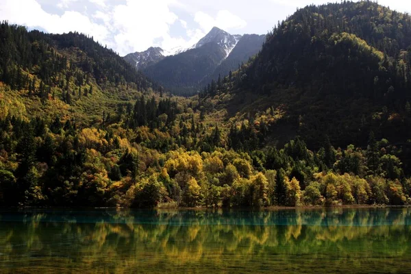 Красивый Пейзаж Озера Возле Зеленых Деревьев Гор Национальном Парке Jiuzhaigou — стоковое фото