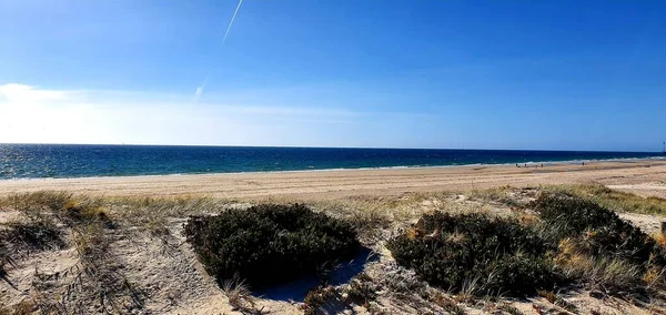 Der Wellige Strand Der Tagsüber Einem Klaren Sonnigen Tag Eingefangen — Stockfoto