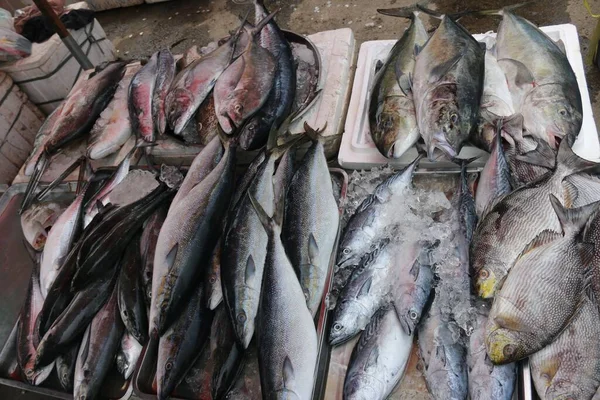 Close Peixes Crus Mercado Alimentos — Fotografia de Stock