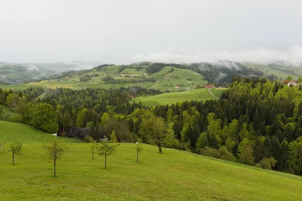 Ein Schöner Blick Auf Häuser Bäume Und Einen Berg Auf — Stockfoto