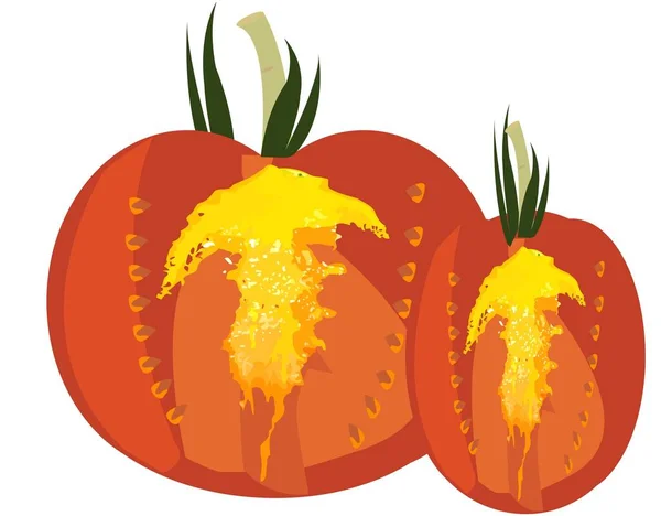 Illustration Den Färska Tomaten Isolerad Vit Bakgrund — Stockfoto
