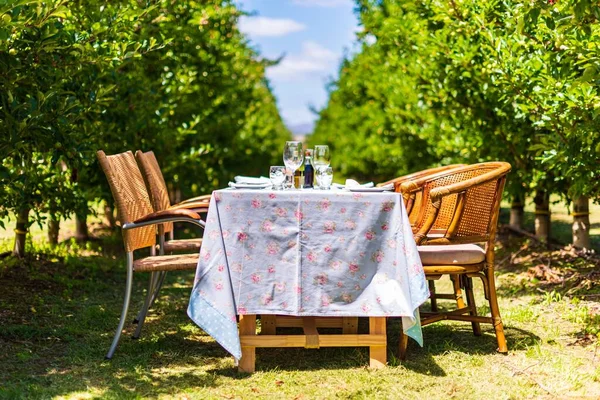 Ett Matbord Dukat Utomhus Vid Fruktträdgård Med Rustika Stolar — Stockfoto