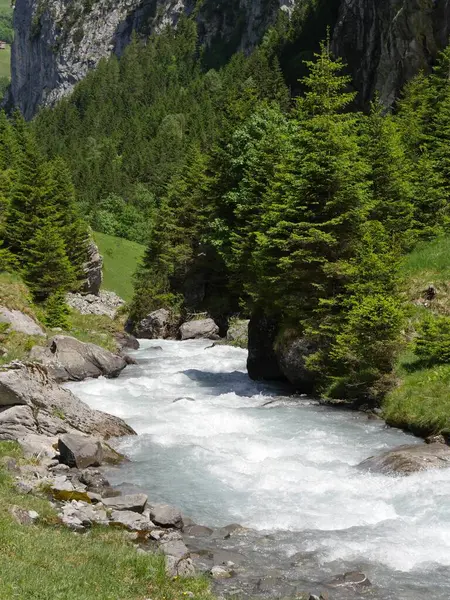 Piękny Widok Płynącej Rzeki Otoczony Drzewami Górami Pod Pochmurnym Błękitnym — Zdjęcie stockowe