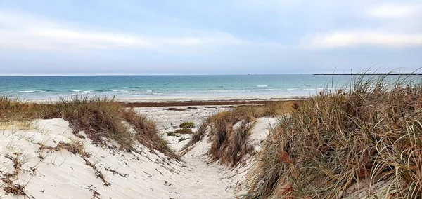 Песчаная Дорожка Пляже Окружении Кустов Захваченных Днем — стоковое фото