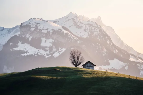 Een Horizontale Opname Van Een Hut Een Landelijk Gebied Een — Stockfoto