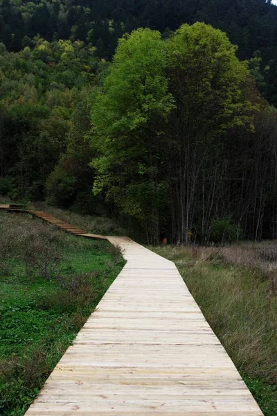 Plano Vertical Camino Madera Que Conduce Parque Nacional Jiuzhaigou Provincia — Foto de Stock