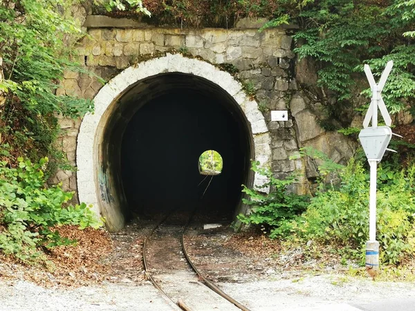 Ein Langer Eisenbahntunnel Mit Der Einfahrt Umgeben Von Grünflächen — Stockfoto