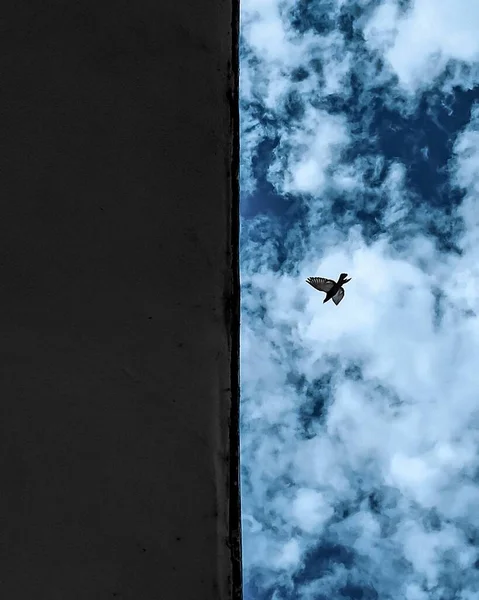 Tiro Vertical Telhado Pássaro Voando Sobre Fundo Céu Nublado — Fotografia de Stock