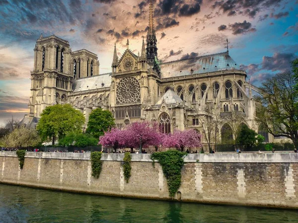 Παρισι Γαλλια Φεβ 2019 Μητρόπολη Notre Dame Στο Παρίσι Γαλλία — Φωτογραφία Αρχείου