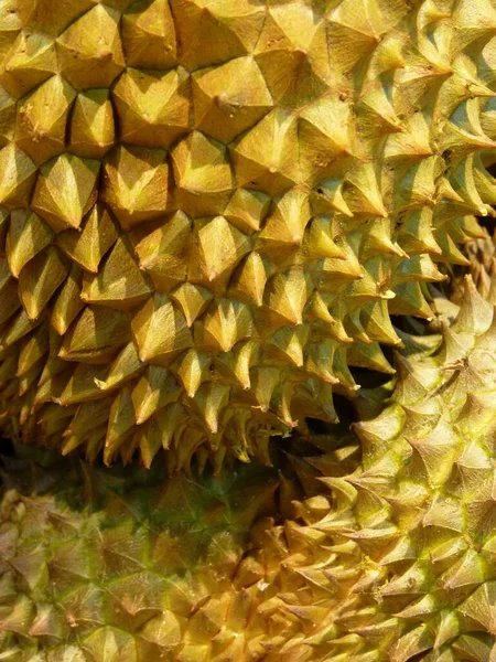 エキゾチックなドリアンの果実のクローズアップショット — ストック写真