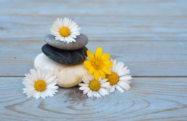 Closeup Shot Stones Stacked Top Each Other Daisy Flowers Wooden — Stock Photo, Image