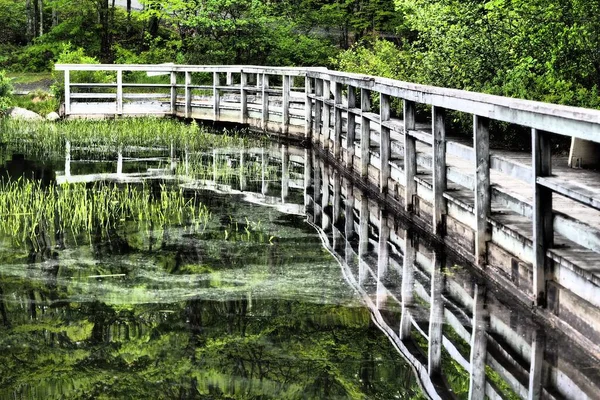 Old Wooden Bridge Pond Surrounded Green Trees Reflected Water — Stock Photo, Image