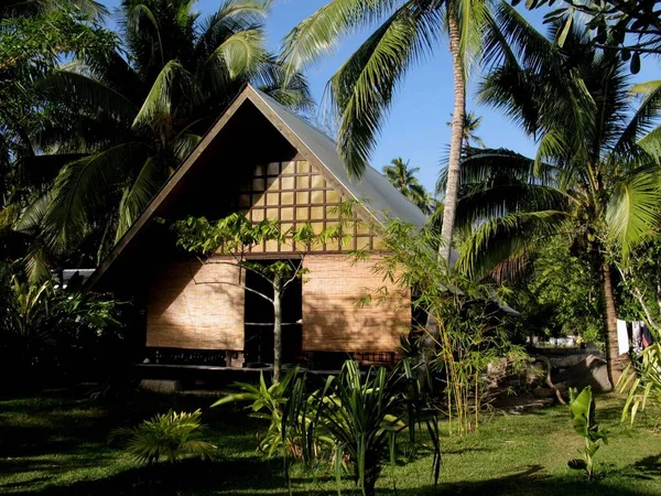 Palmiyeler Tropik Çalılarla Çevrili Küçük Bir Ahşap Kulübe — Stok fotoğraf