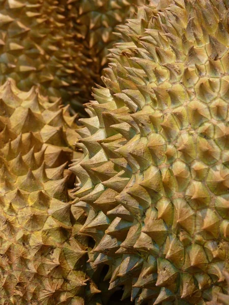 Tiro Close Uma Fruta Duriana Exótica — Fotografia de Stock