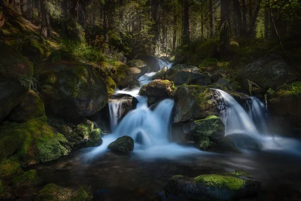 Dlouhý Záběr Vodopád Lese Obklopený Stromy — Stock fotografie