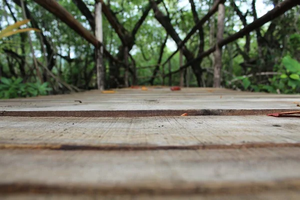 Eine Selektive Fokusaufnahme Einer Holzbrücke Durch Den Dichten Wald — Stockfoto