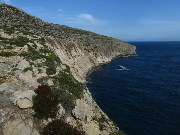 Krásný Výhled Podkrovní Vegetaci Rostoucí Pobřežních Vápencových Útesech Maltských Ostrovech — Stock fotografie