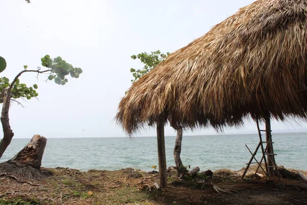 Cliché Fascinant Paysage Marin Avec Parapluie Plage Roseau Premier Plan — Photo