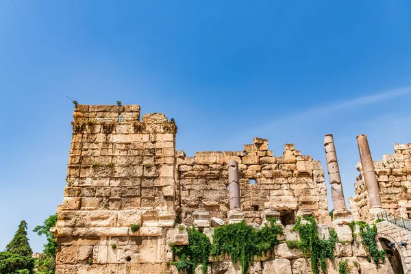 Baalbek Rovine Del Tempio Romano Baalbek Libano Era Luogo Culto — Foto Stock