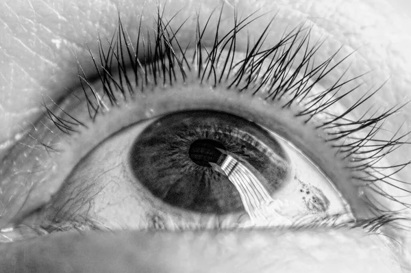 Makro Skali Szarości Ujęcie Ludzkiego Oka Spoglądającego Górę — Zdjęcie stockowe