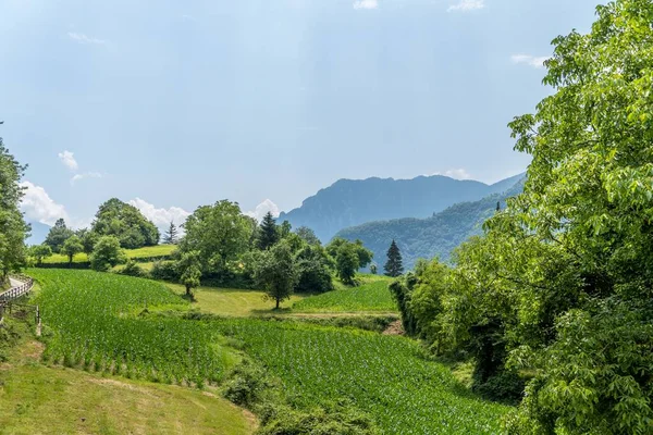 Uma Bela Vista Natureza Perto Lago Tenno Localizado Trentino Itália — Fotografia de Stock