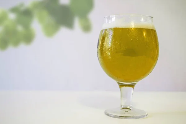 Primer Plano Vaso Cerveza Fría Fresca Sobre Mesa —  Fotos de Stock