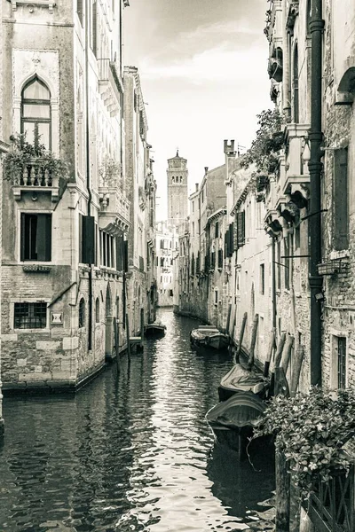 Eine Schöne Graustufenaufnahme Aus Venedig Italien — Stockfoto