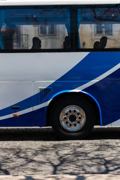 Eine Vertikale Aufnahme Eines Busses Mit Einem Schatten Von Ästen — Stockfoto