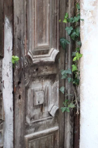 Close Uma Velha Porta Madeira Com Folhas Verdes — Fotografia de Stock