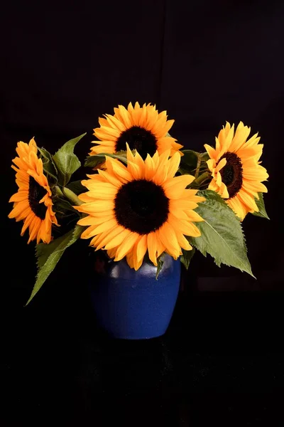 Eine Vertikale Aufnahme Einer Vase Mit Sonnenblumen Auf Schwarzem Hintergrund — Stockfoto