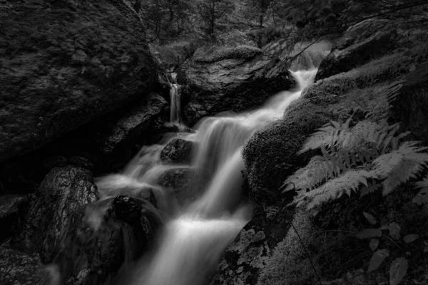 Šedivý Dlouhý Záběr Malý Vodopád Skalách — Stock fotografie