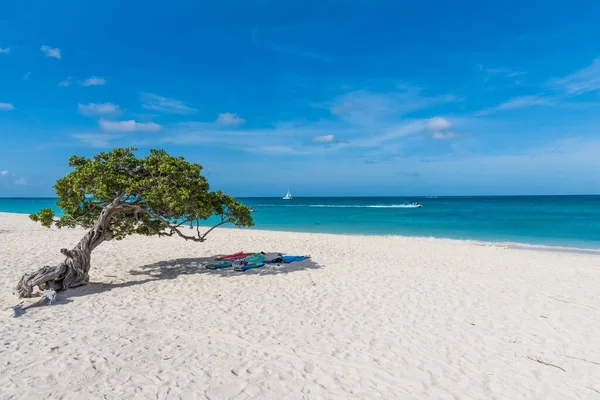 Horizontal Shot Beautiful View Beach Sea Towels Laid Out Tree — Stock Photo, Image